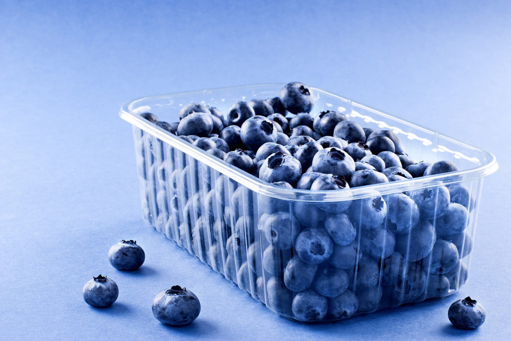 Blueberry Container