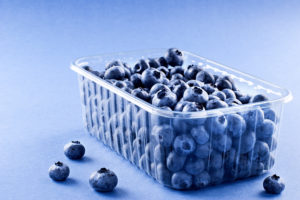 Blueberry Container